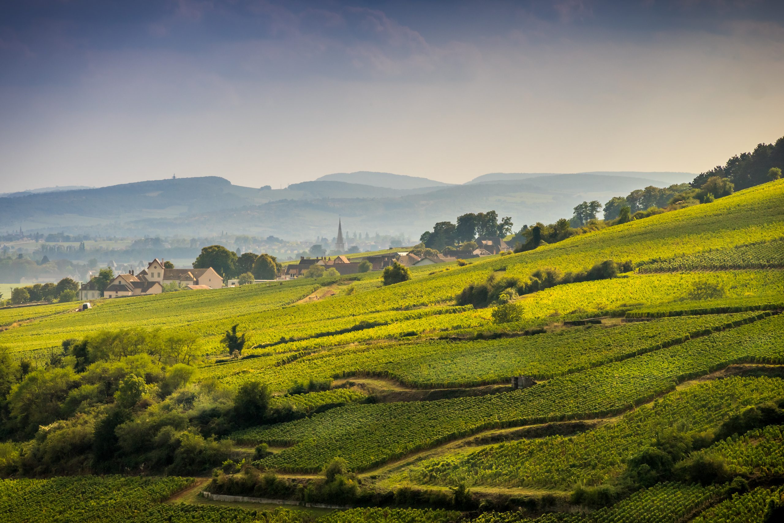 Révéler les terroirs de Bourgogne vignobles de bourgogne